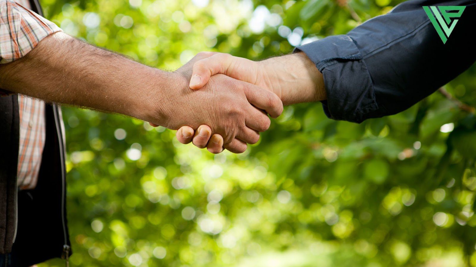 Why Do Most Personal Injury Cases Settle in Florida? - 2 people shaking hands